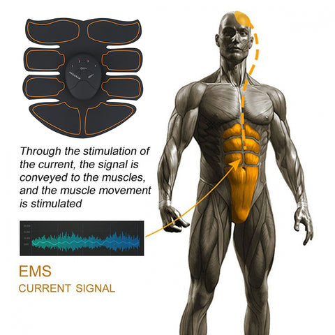 Abdominal Muscle Trainer ABS Stimulator - FitnSupport